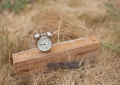 Alarm clock and a Piece of wood/ будильник и деревяшка